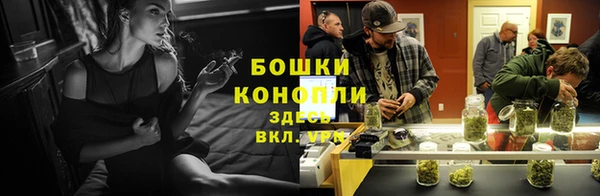 сатива Абдулино