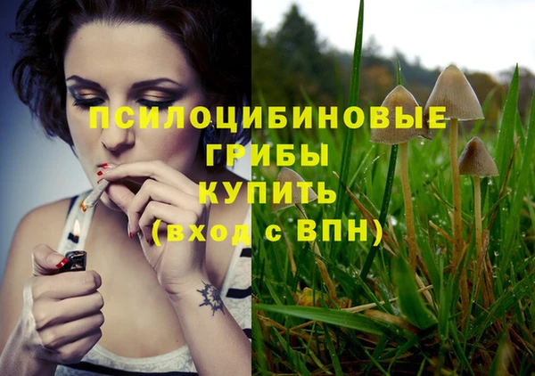 ГАЛЛЮЦИНОГЕННЫЕ ГРИБЫ Абаза
