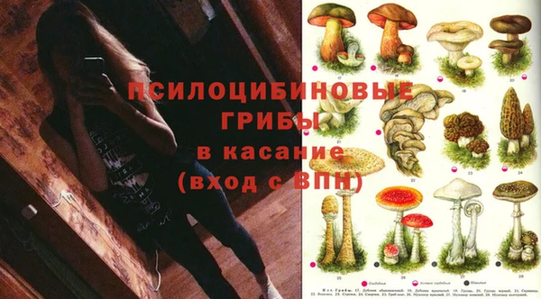 PSILOCYBIN Алексин