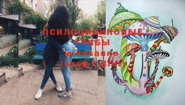 ГАЛЛЮЦИНОГЕННЫЕ ГРИБЫ Абаза