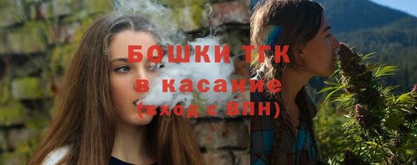 ГАЛЛЮЦИНОГЕННЫЕ ГРИБЫ Абаза