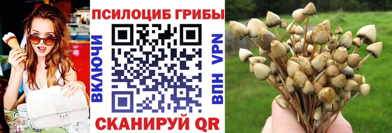 Галлюциногенные грибы Magic Shrooms  Псков 